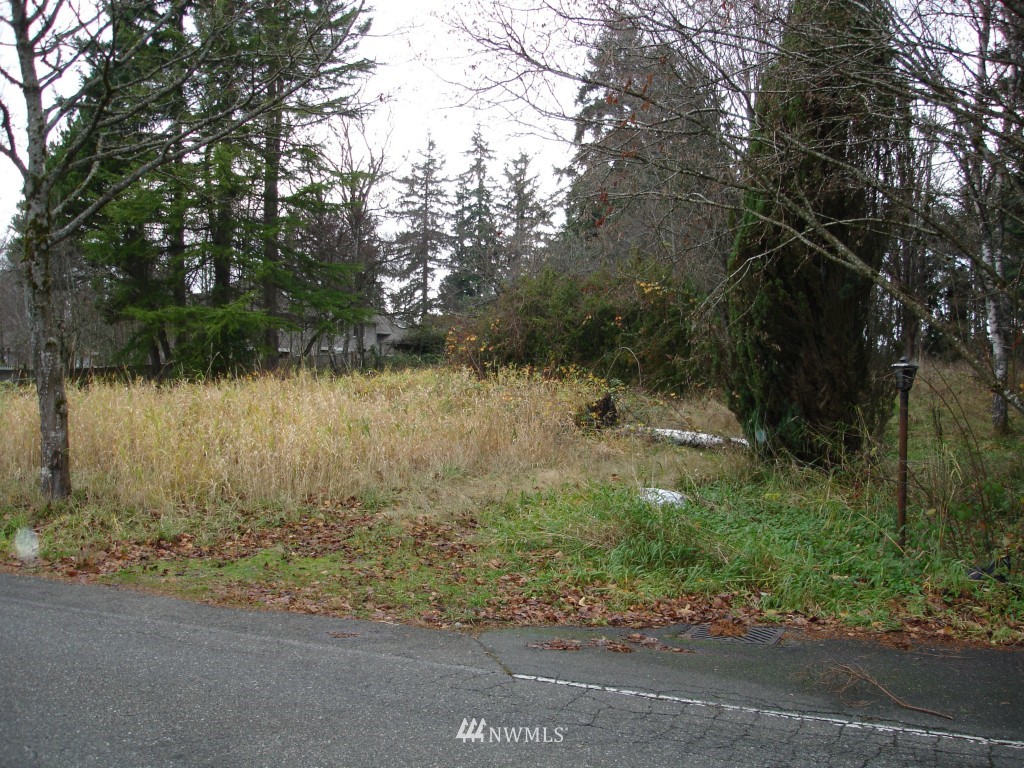 1707 242nd Street Southeast Bothell, WA 98021 - Photo 6 of 8