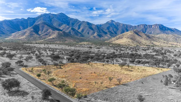 a view of a dry yard with wooden fence