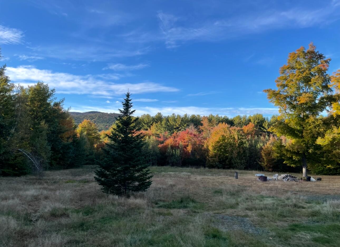 111 Barker Road Bethel, ME 04217 - Photo 11 of 62 Back Yard