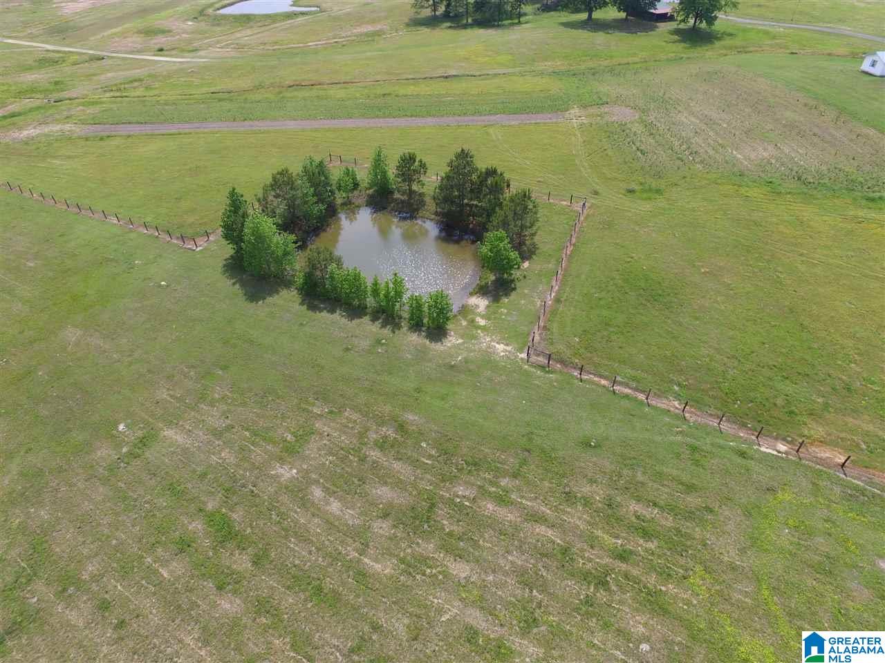 0 Pleasant Hills Road, Unit 40 Odenville, AL 35120 - Photo 42 of 48