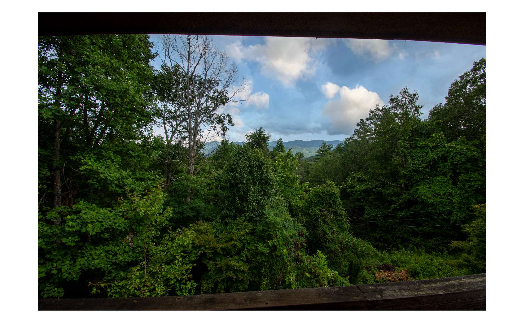 196 Wine Branch Road Murphy, NC 28906 - Photo 21 of 22 Additional View