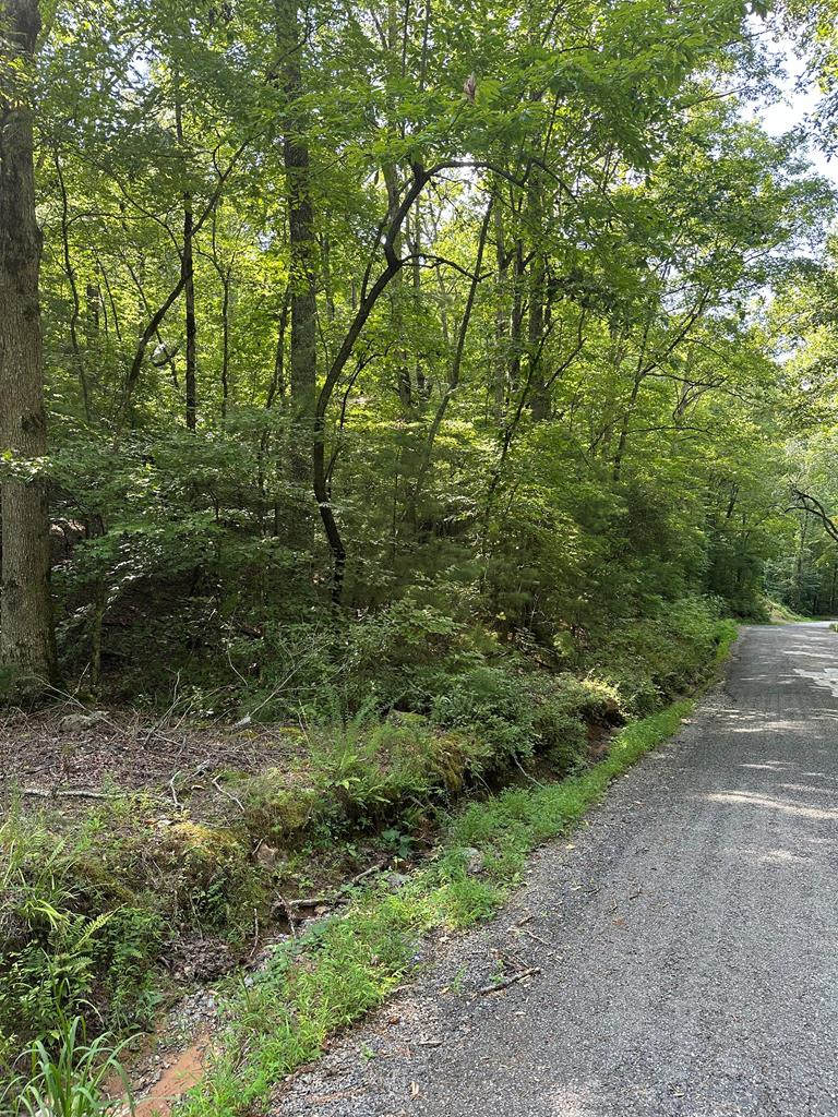 Lot 29 Owltown Road Ellijay, GA 30536 - Photo 1 of 5 Main View