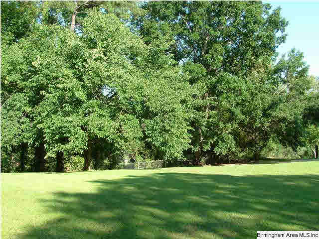 55 Carroll Road Wilsonville, AL 35186 - Photo 4 of 15