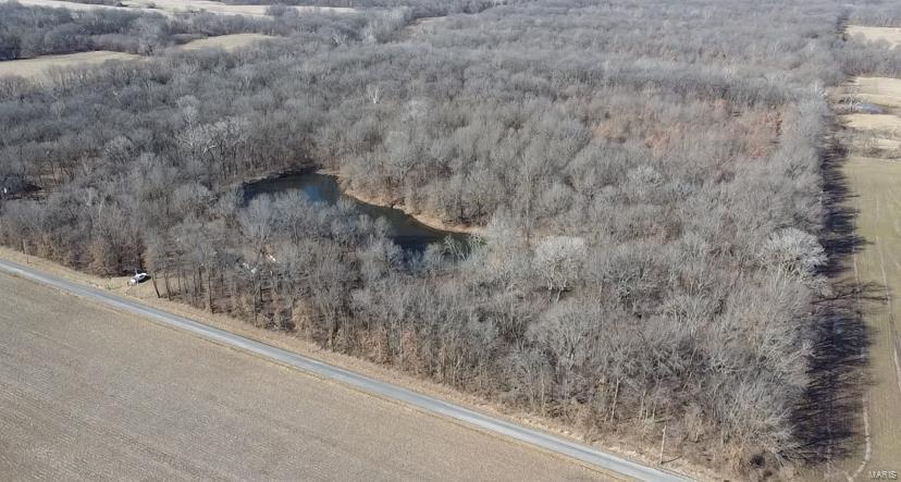 1185 Terrapin Ridge Road Greenville, IL 62246 - Photo 1 of 14