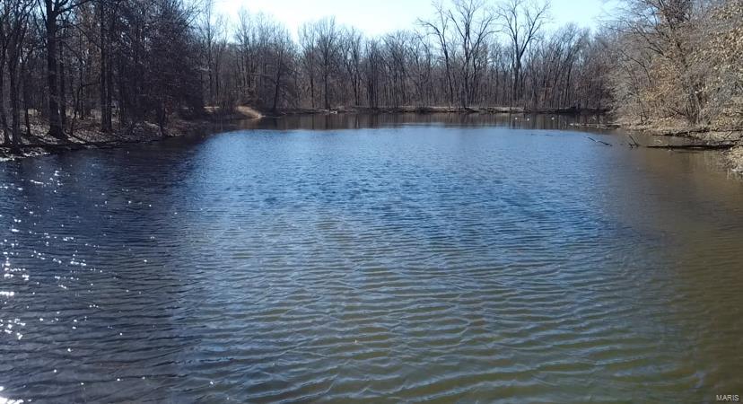 1185 Terrapin Ridge Road Greenville, IL 62246 - Photo 4 of 14