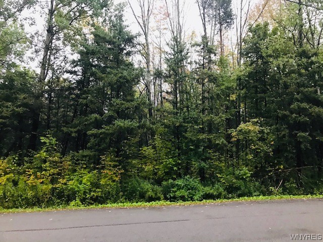 Vl Syler Road Warsaw, NY 14569 - Photo 1 of 1 Gallery Image 1