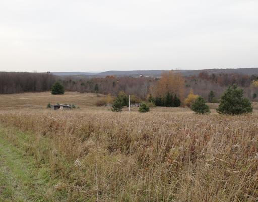 Dyer Road Bear Lake, PA 16402 - Photo 1 of 5 a view of an outdoor space and mountains