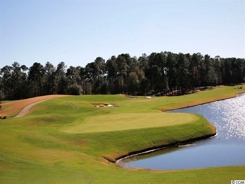 268 Splendor Circle Murrells Inlet, SC 29576 - Photo 14 of 14