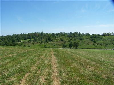 2763 Union Mill Road Nicholasville, KY 40356 - Photo 8 of 13 Photo 8