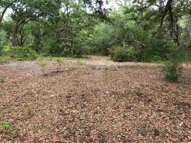 1230 Joe Dugger Road Freeport, FL 32439 - Photo 3 of 4 IMG_3039