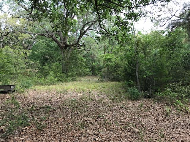 1230 Joe Dugger Road Freeport, FL 32439 - Photo 4 of 4 IMG_3045