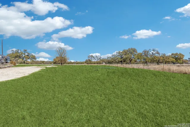 a view of a big yard