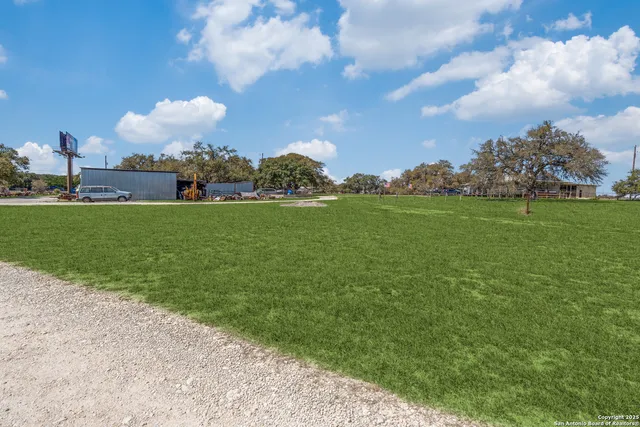 a view of a big yard with plants and large trees