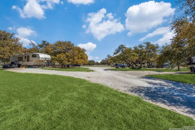a view of a park with large trees