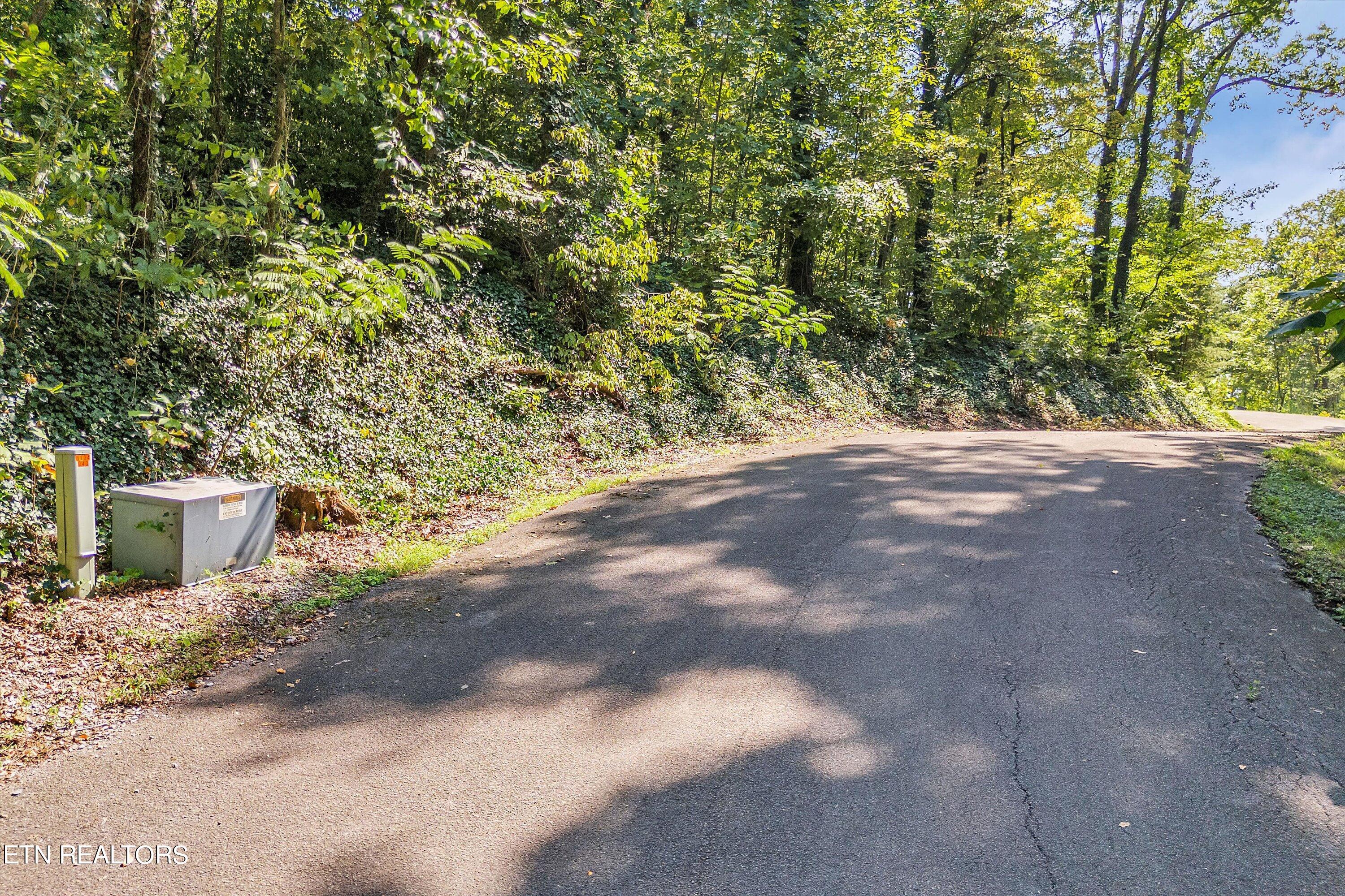 Lot 2 Baye Road Rutledge, TN 37861 - Photo 11 of 22 01-Baye Rd-1
