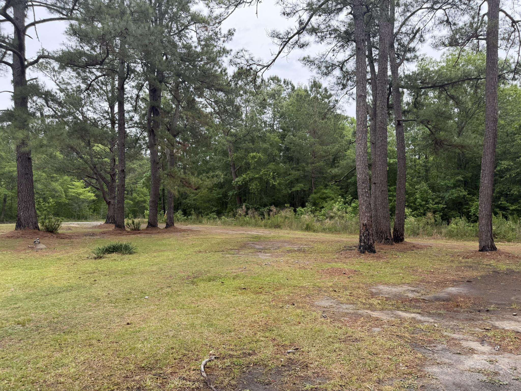 1389 County Rd S-45-678 Kingstree, SC 29556 - Photo 6 of 16