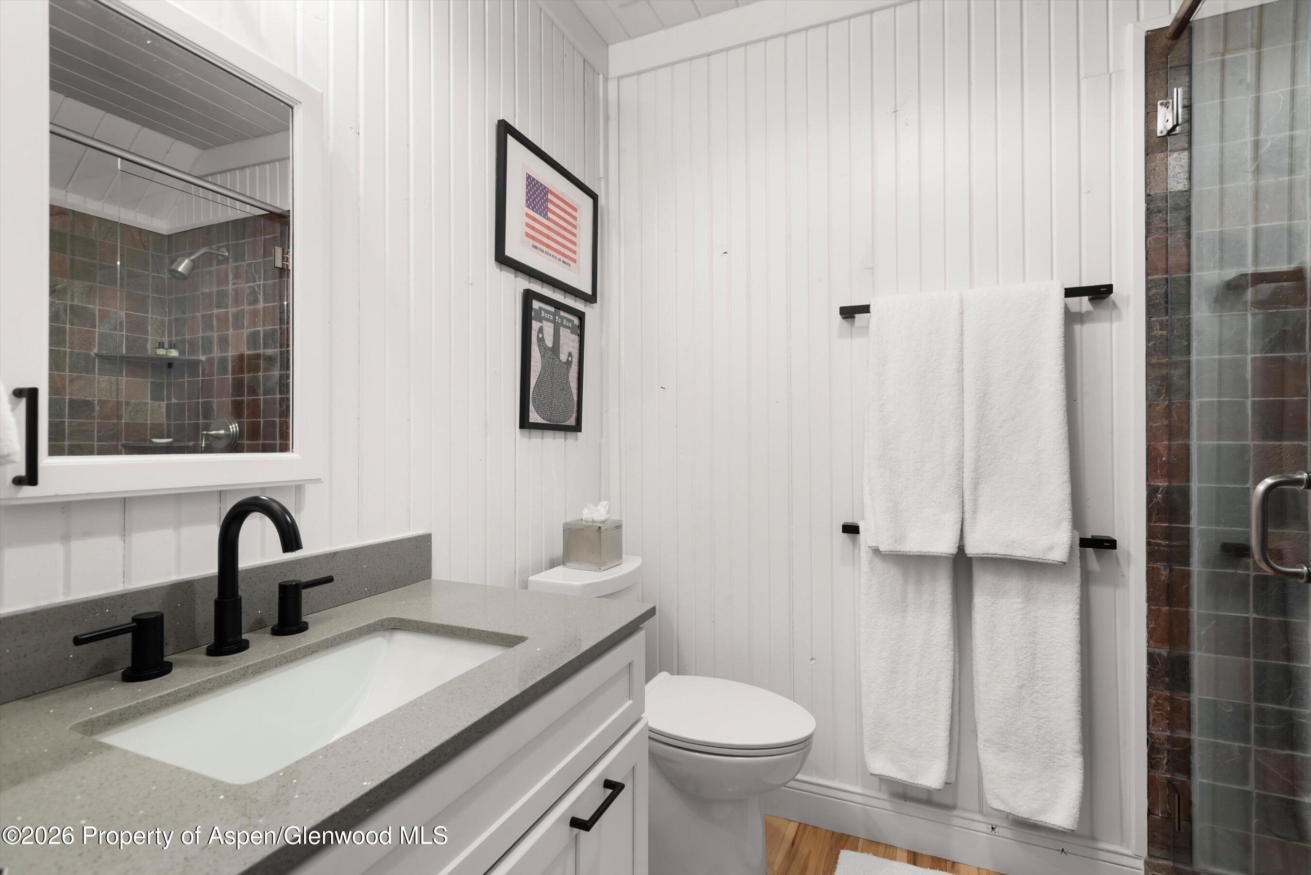 1258 Juniper Hill Road Aspen, CO 81611 - Photo 17 of 25 a bathroom with a sink toilet and shower