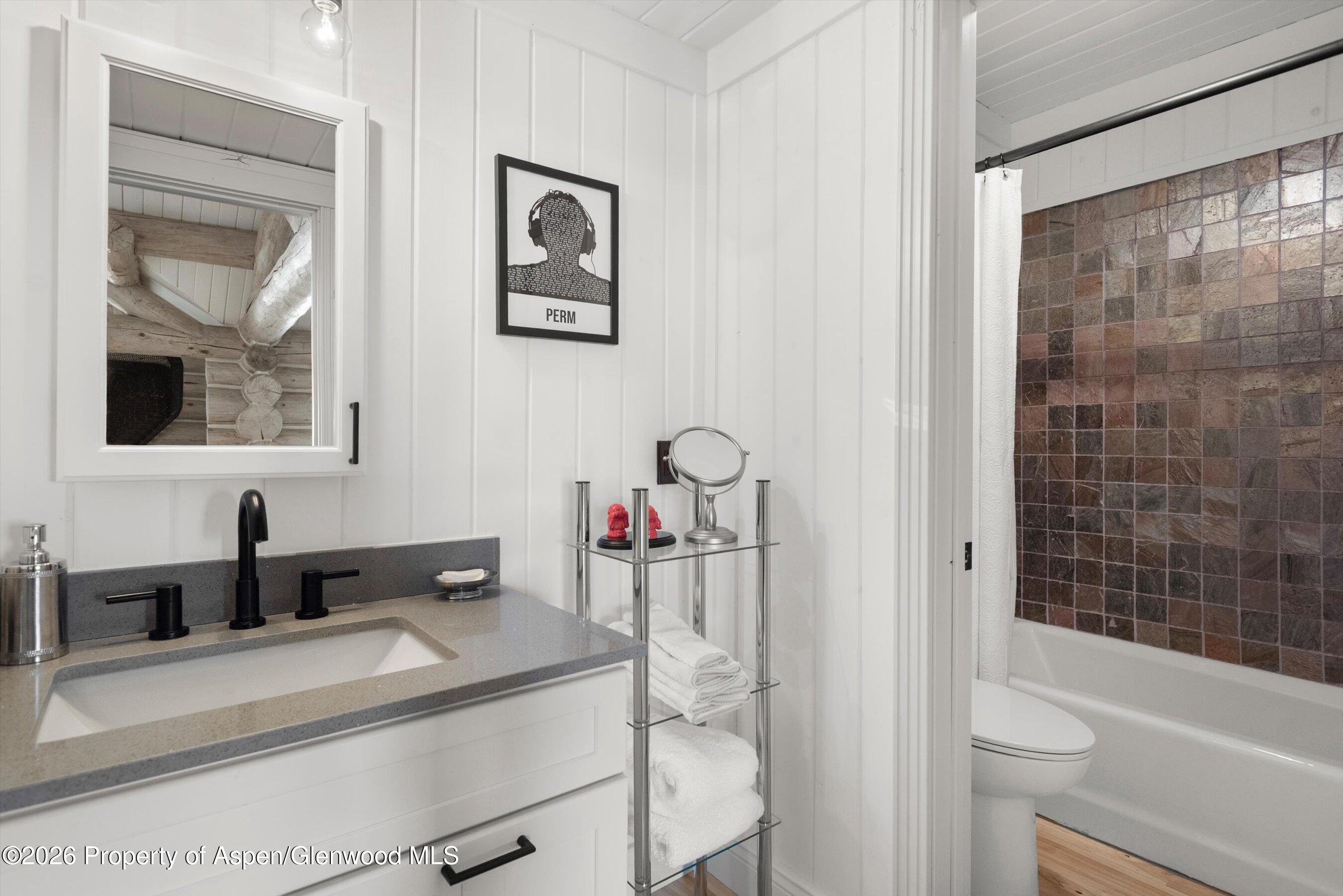 1258 Juniper Hill Road Aspen, CO 81611 - Photo 19 of 25 a bathroom with a sink a toilet and shower