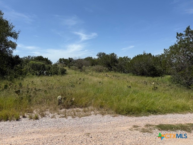 112 Chappel Street Burnet, TX 78611 - Photo 1 of 1 a view of a yard with a tree