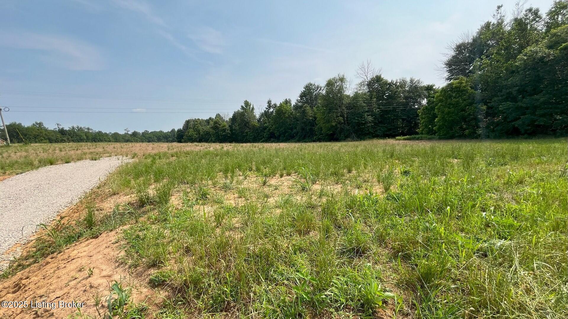 Lot 4 Summit Road Clarkson, KY 42726 - Photo 11 of 17 Pic 6