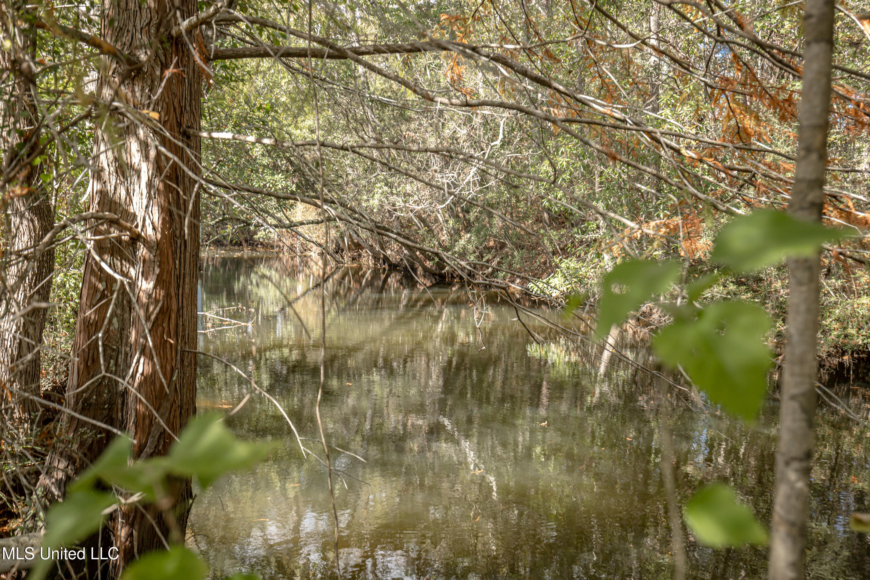 2408 Callie Road Gautier, MS 39553 - Photo 34 of 77 IMG_1208