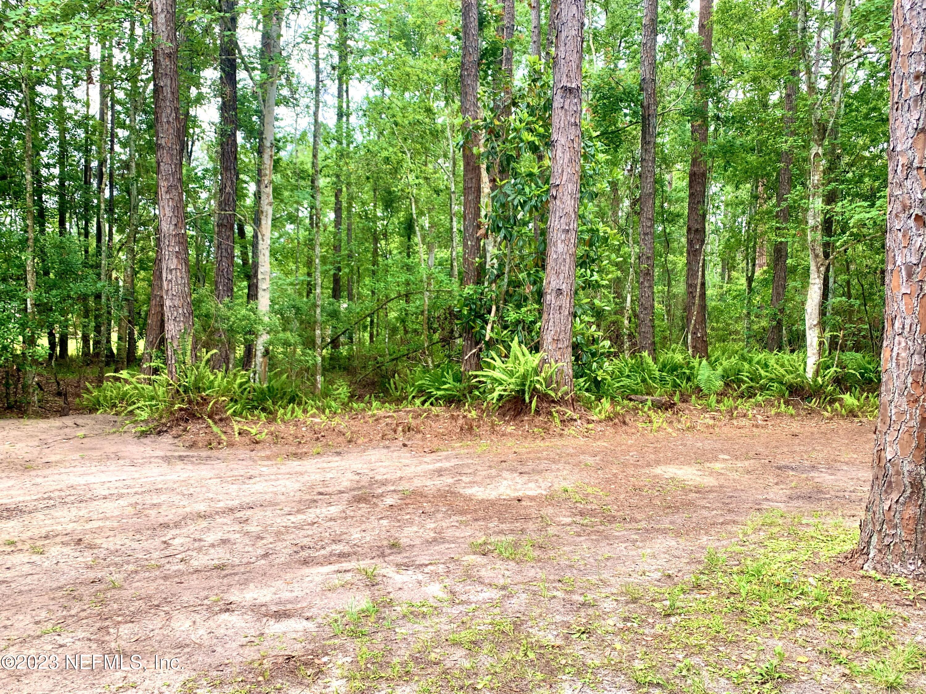 3180 C Pacetti Road St. Augustine, FL 32092 - Photo 18 of 19 Land View 4