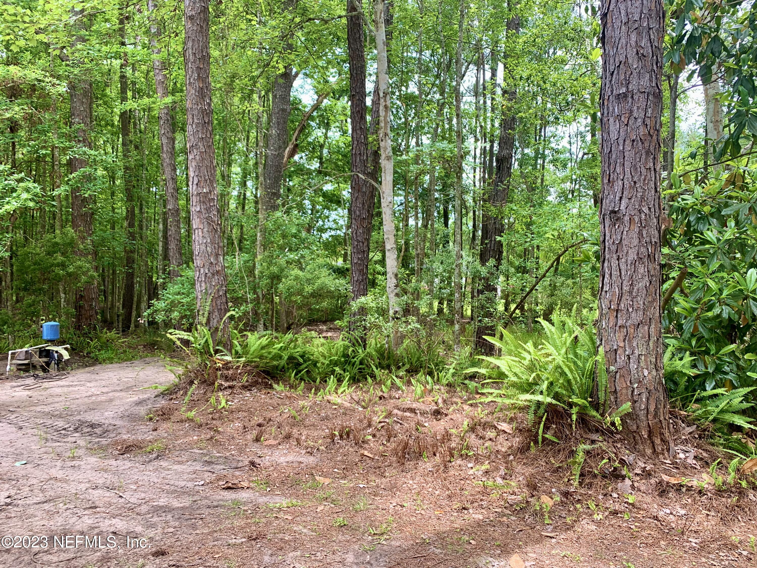 3180 C Pacetti Road St. Augustine, FL 32092 - Photo 19 of 19 Land View 5