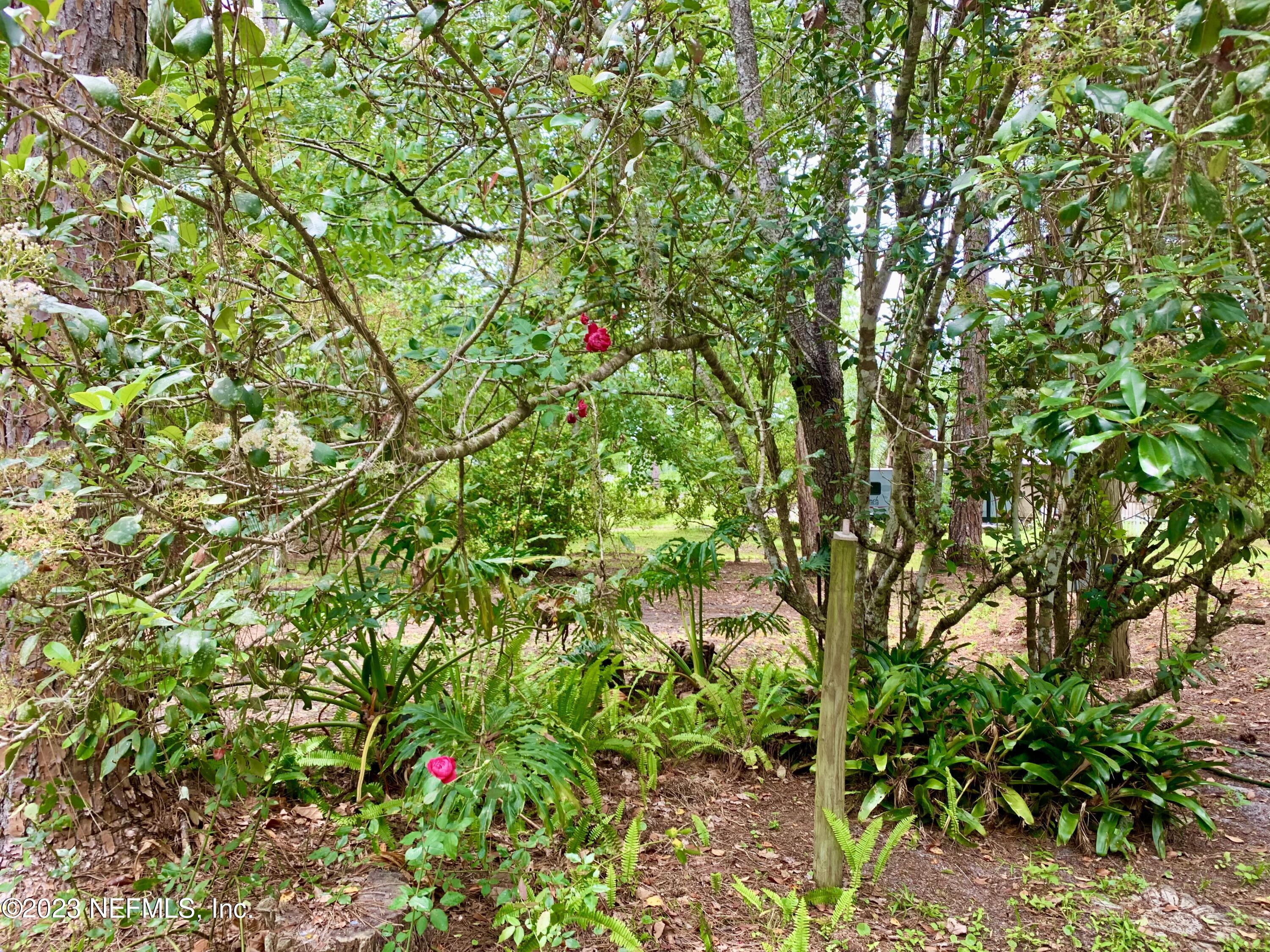 3180 C Pacetti Road St. Augustine, FL 32092 - Photo 5 of 19 Front Yard View 2