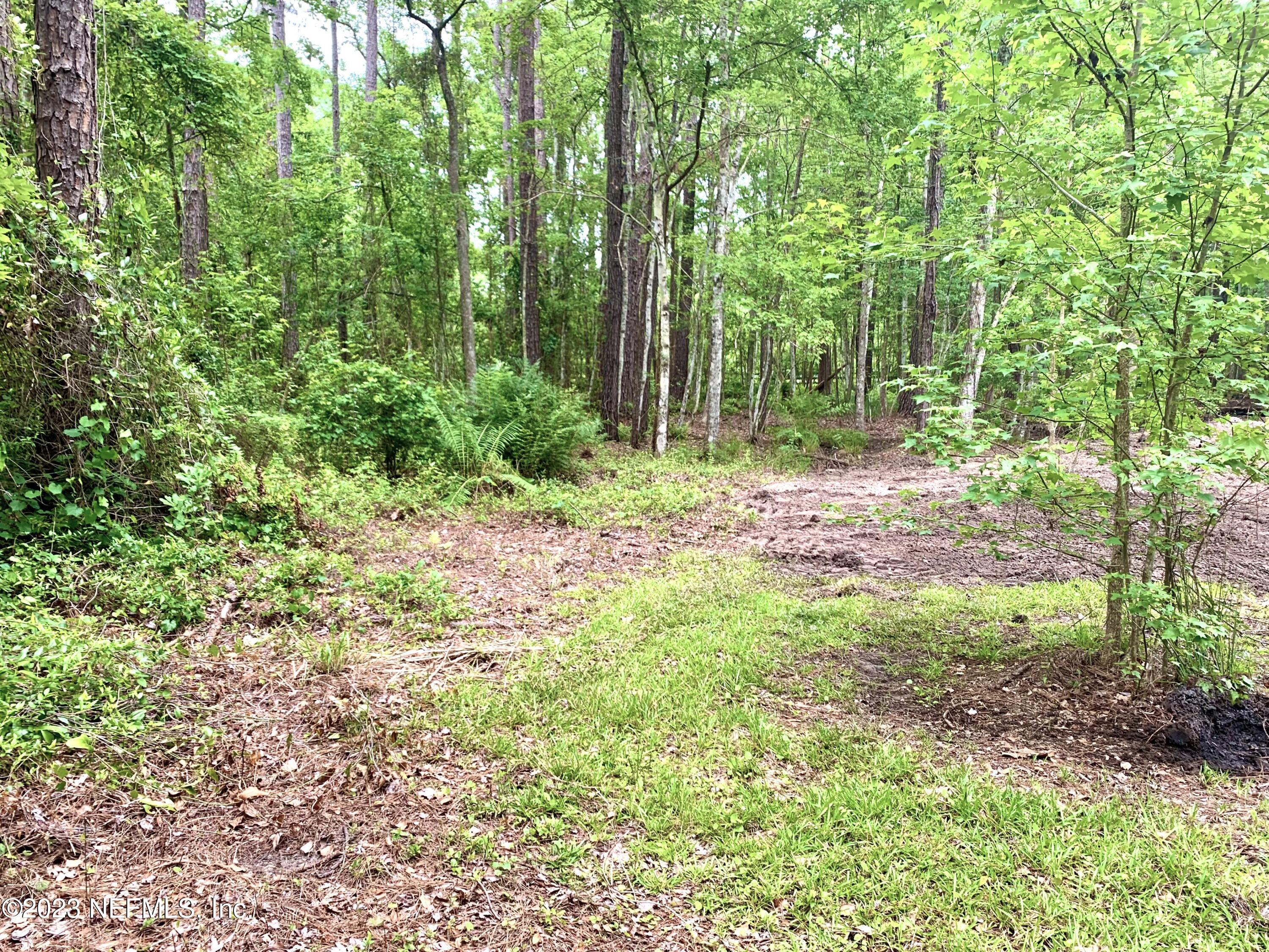3180 C Pacetti Road St. Augustine, FL 32092 - Photo 9 of 19 Land View 1