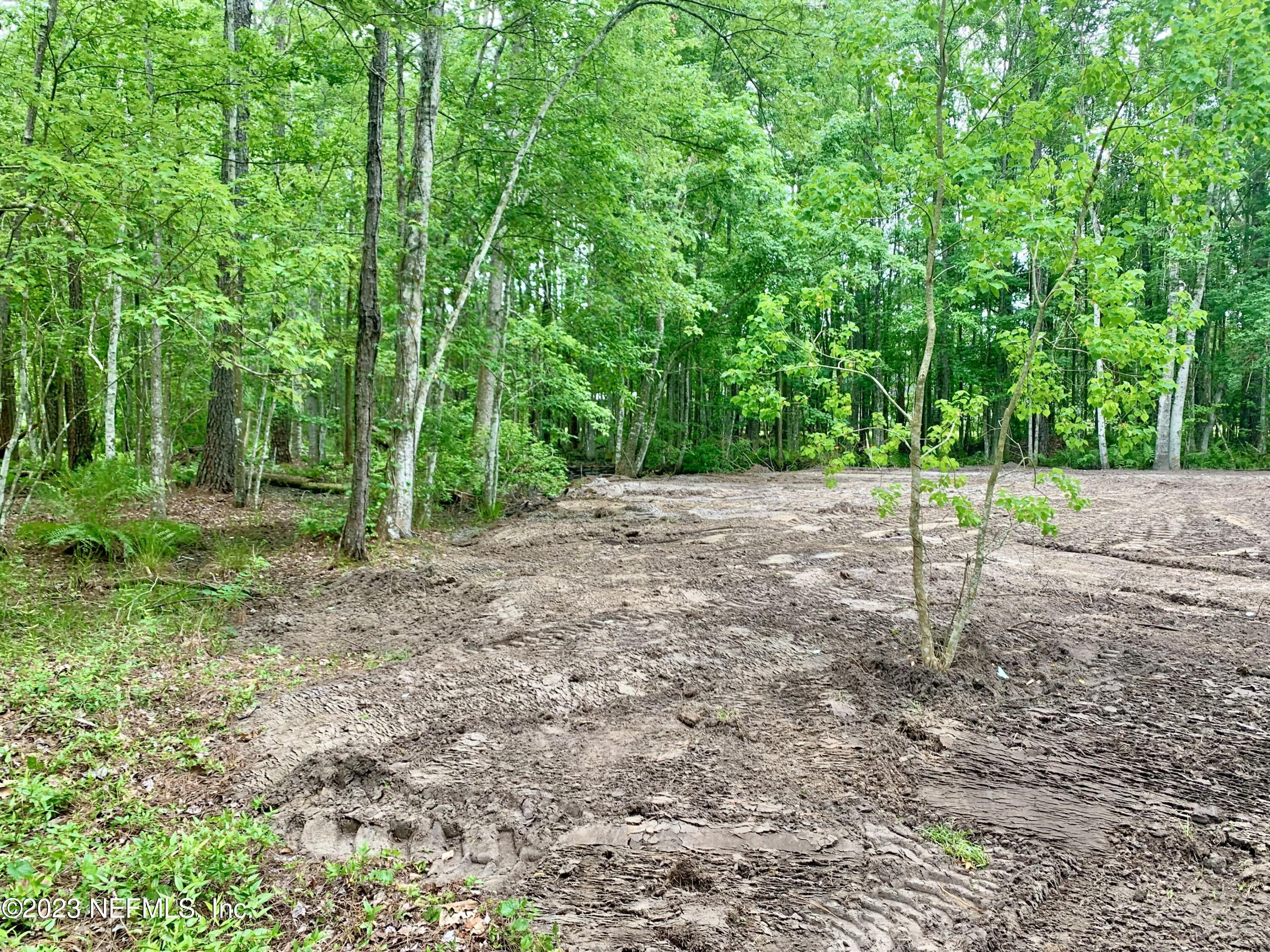 3180 C Pacetti Road St. Augustine, FL 32092 - Photo 10 of 19 Land View 2