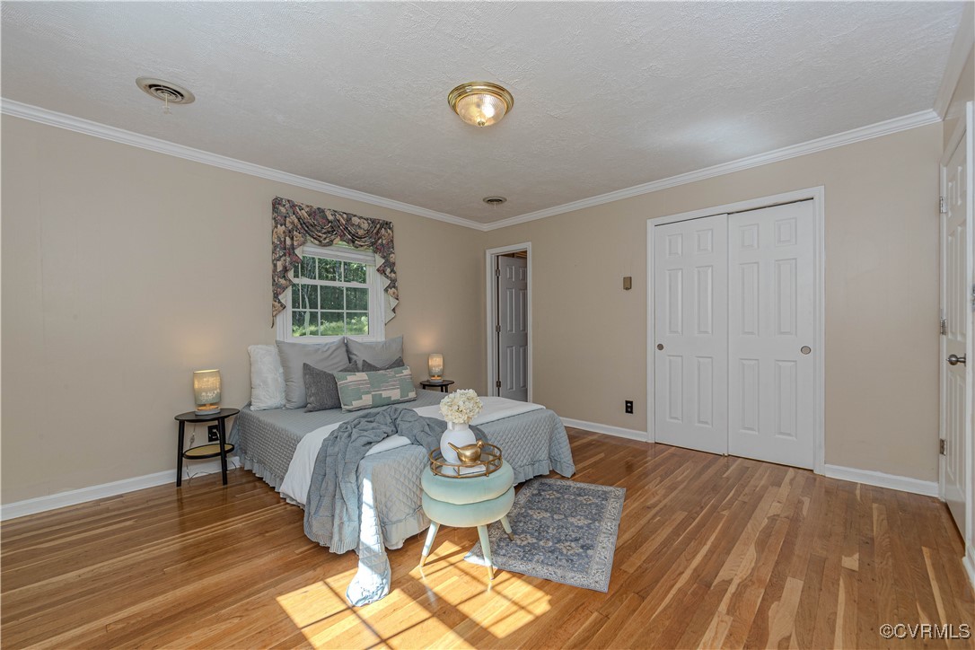 22517 Cox Road Sutherland, VA 23885 - Photo 17 of 34 Gallery Image 17