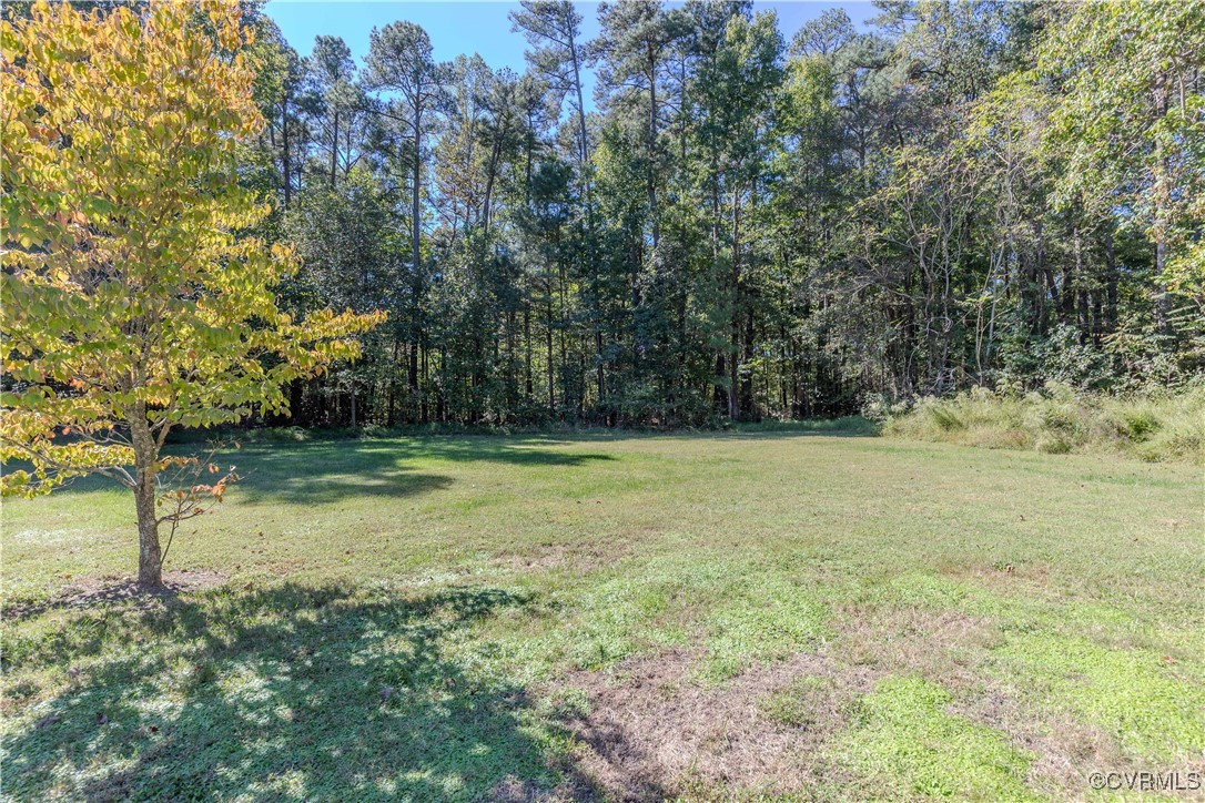 22517 Cox Road Sutherland, VA 23885 - Photo 26 of 34 Gallery Image 26