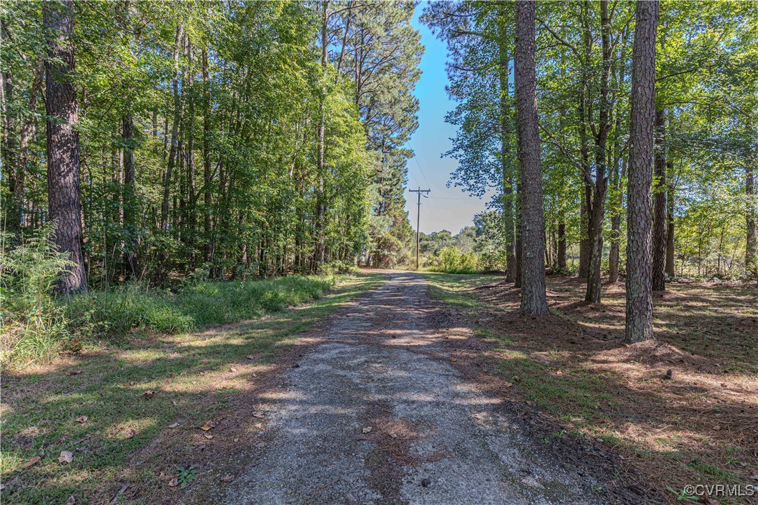 22517 Cox Road Sutherland, VA 23885 - Photo 6 of 34 Gallery Image 6