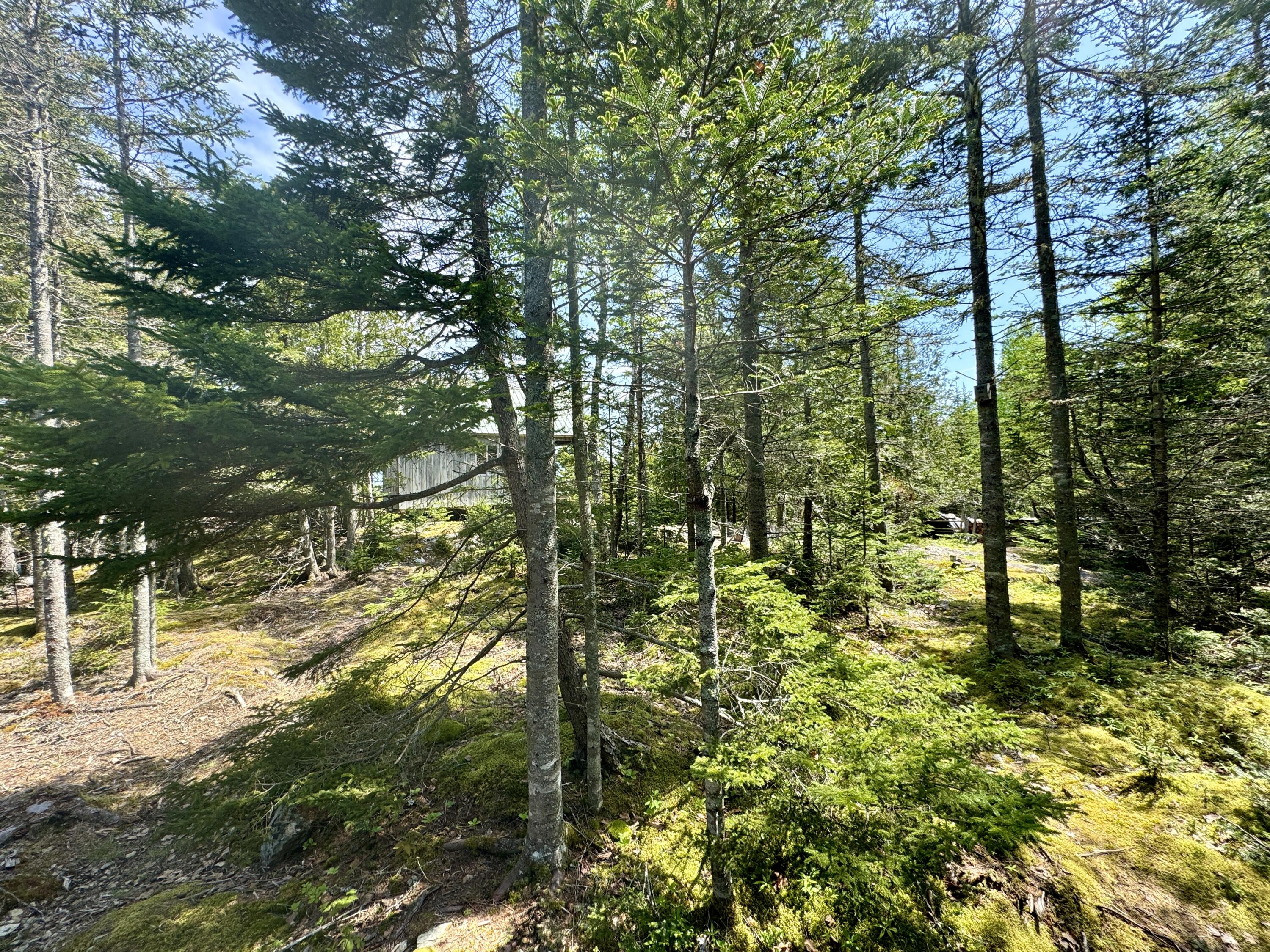 998 Cape Rosier Road Harborside, ME 04642 - Photo 32 of 42 IMG_7665