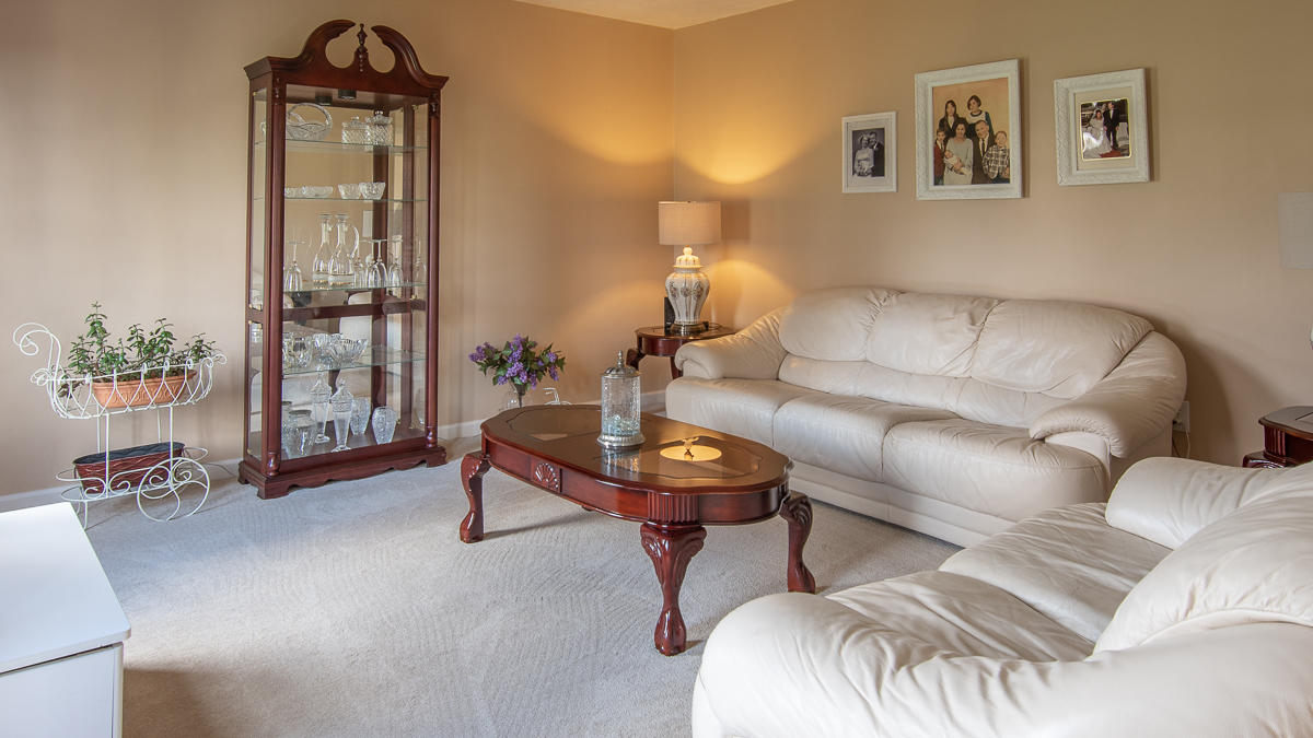 112 Aftons Meadow Road Vinton, VA 24179 - Photo 19 of 46 a living room with furniture and a potted plant
