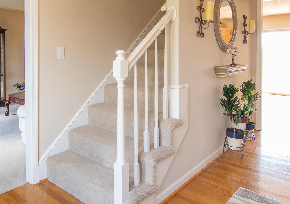 112 Aftons Meadow Road Vinton, VA 24179 - Photo 22 of 46 a view of staircase with railing and a potted plant