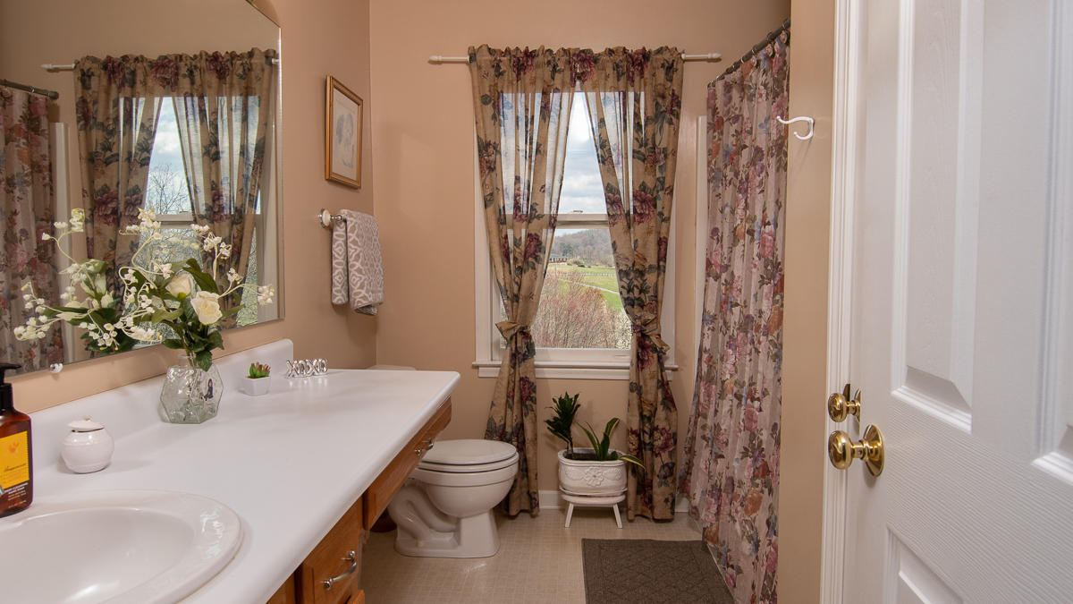 112 Aftons Meadow Road Vinton, VA 24179 - Photo 26 of 46 a bathroom with a sink toilet and shower