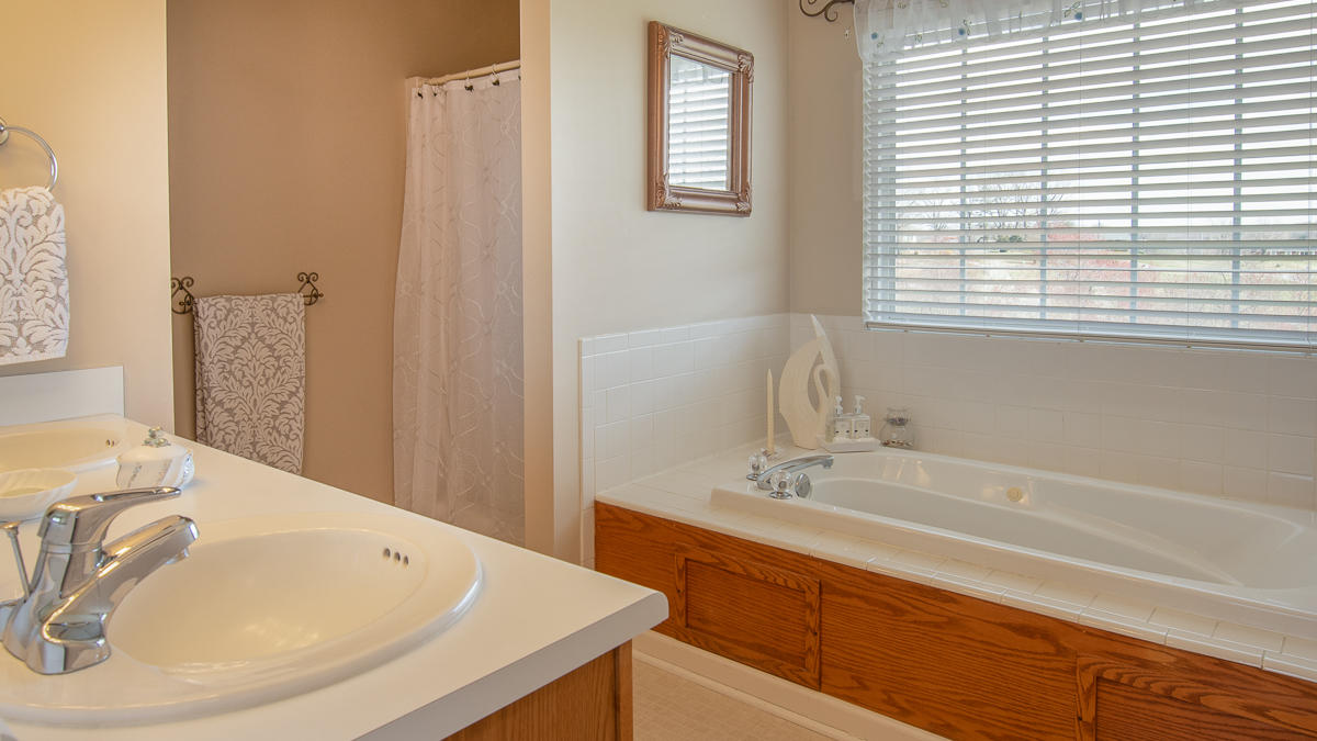 112 Aftons Meadow Road Vinton, VA 24179 - Photo 29 of 46 a bathroom with a sink and a bathtub