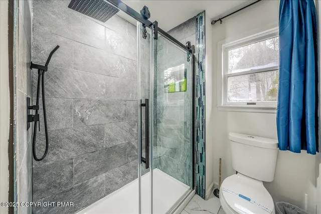 a bathroom with a shower and toilet