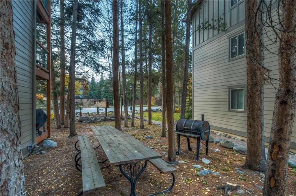 760 Columbine Road, Unit 8 Breckenridge, CO 80424 - Photo 22 of 25 Gallery Image 22