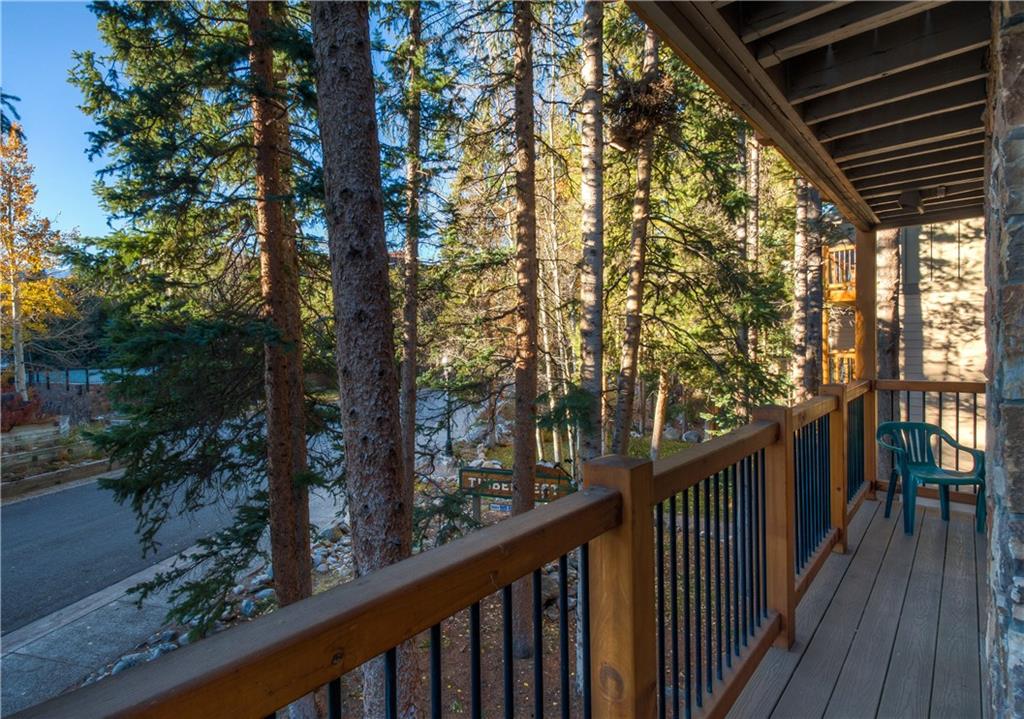 760 Columbine Road, Unit 8 Breckenridge, CO 80424 - Photo 8 of 25 Gallery Image 8