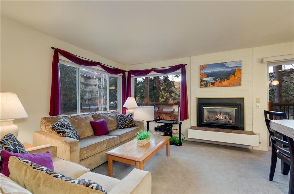 760 Columbine Road, Unit 8 Breckenridge, CO 80424 - Photo 9 of 25 Gallery Image 9