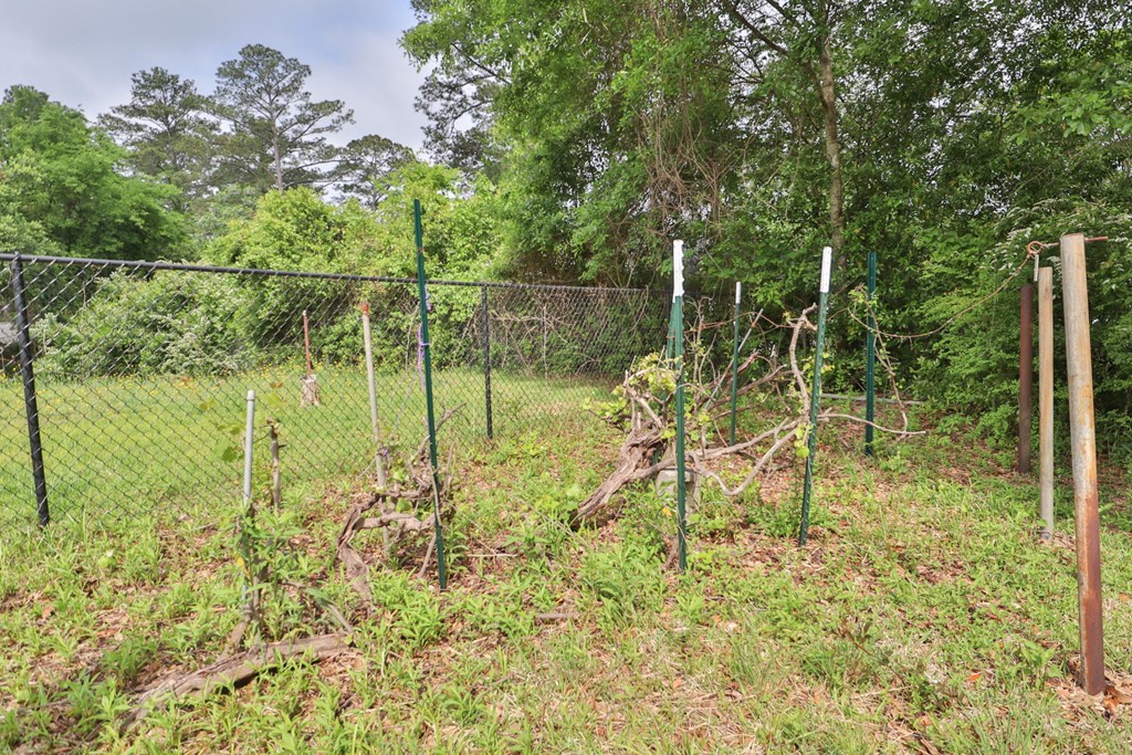 1409 Cloverdale Road Columbus, GA 31904 - Photo 46 of 49 Back Yard
