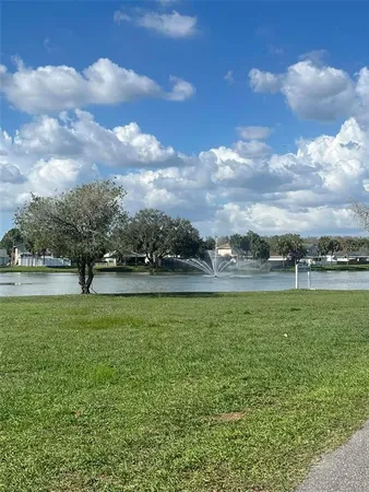 a view of a grassy field with an trees