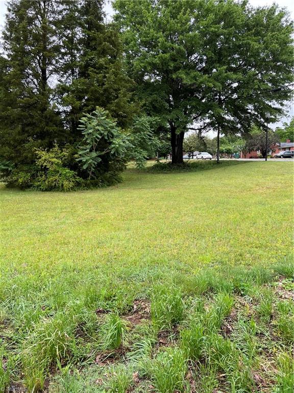0 Broad Street Rural Hall, NC 27045 - Photo 4 of 6