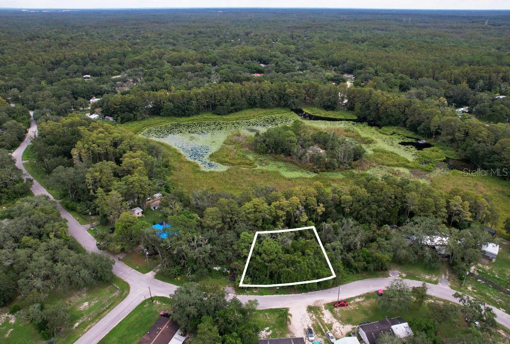 33 Poplar Street New Port Richey, FL 34654 - Photo 1 of 11 a aerial view of a backyard