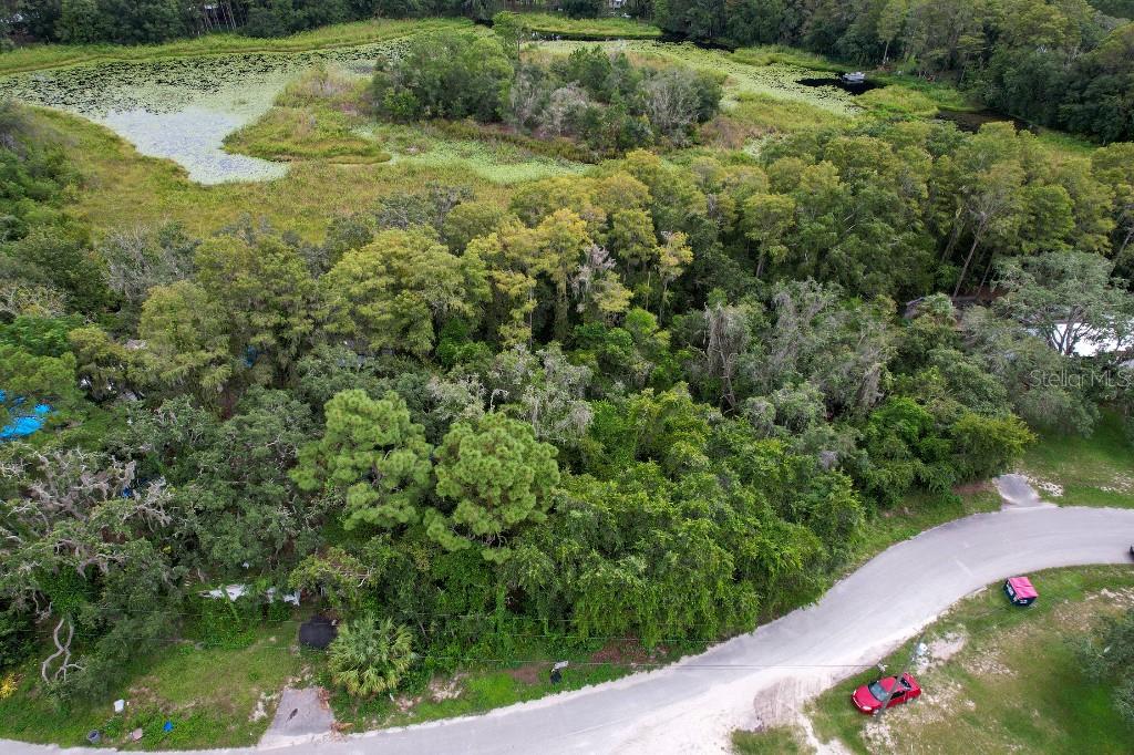 33 Poplar Street New Port Richey, FL 34654 - Photo 5 of 11 a view of a garden with a bench
