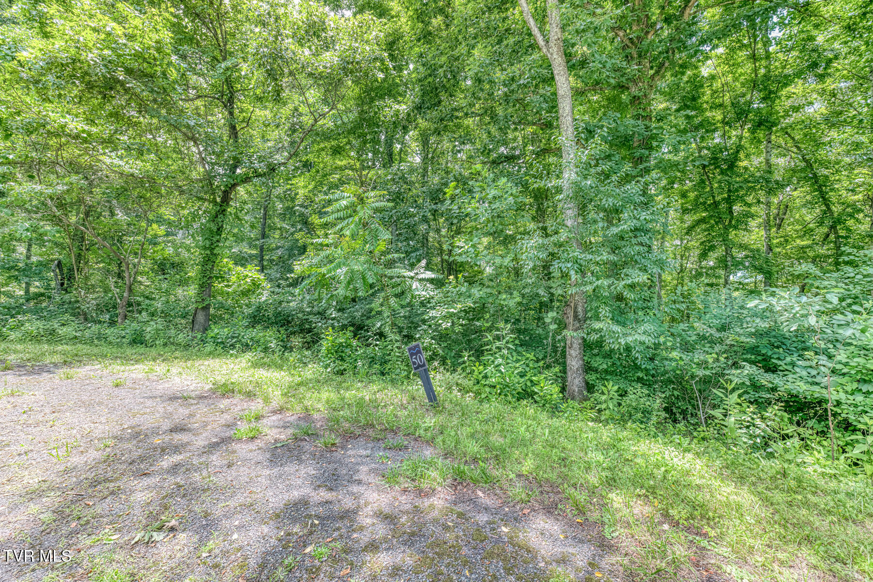 Lot 50 Dry Hill Road, Unit 50 Butler, TN 37640 - Photo 25 of 27 Lot 50, Redbud Cir-18