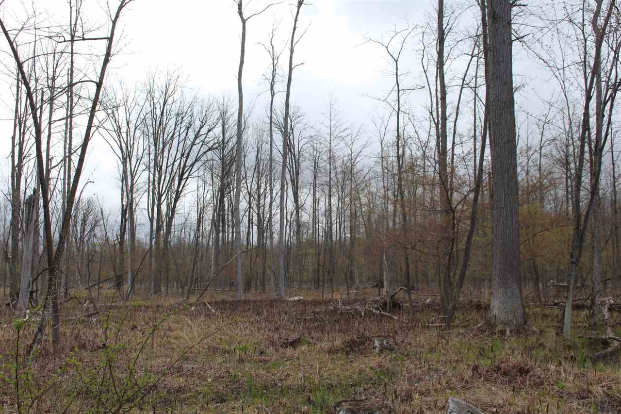 0 Nine North Nine Mile Road Pinconning, MI 48650 - Photo 4 of 32