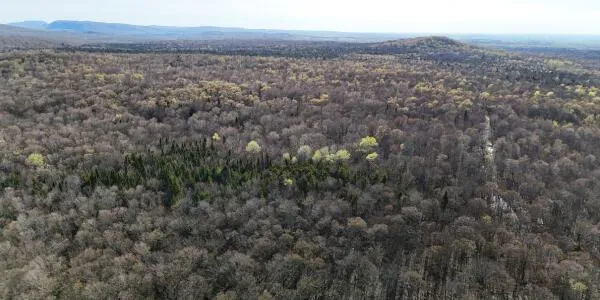 $88,000 | 0 Blair Kiln Road, Chateaugay, NY 12920